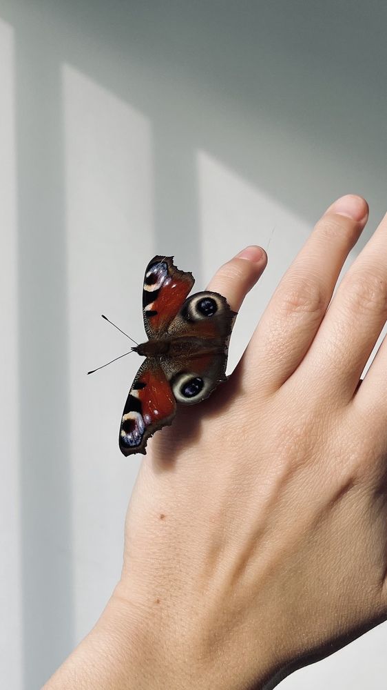 Photograph by Татьяна