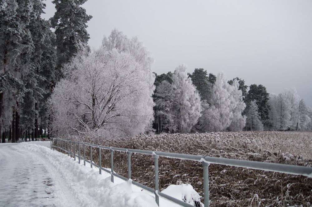 Фотография автора Нина Шкляр