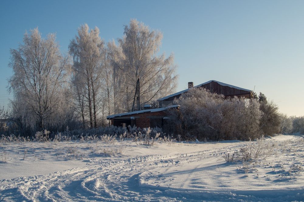 Фотография автора Нина Шкляр