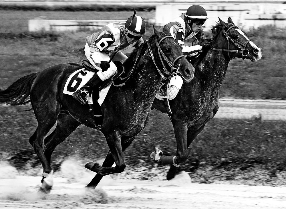 Photograph by Сергей Сережников