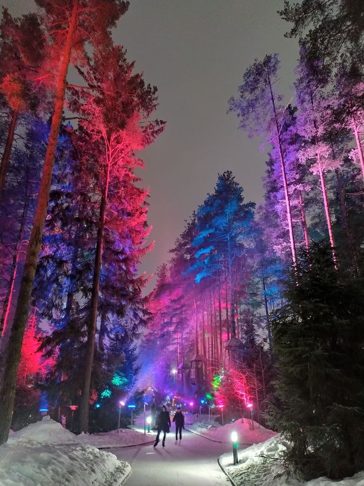 Фотография автора Анастасия Демина