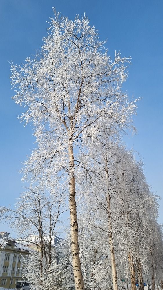 Photograph by Татьяна Музыка