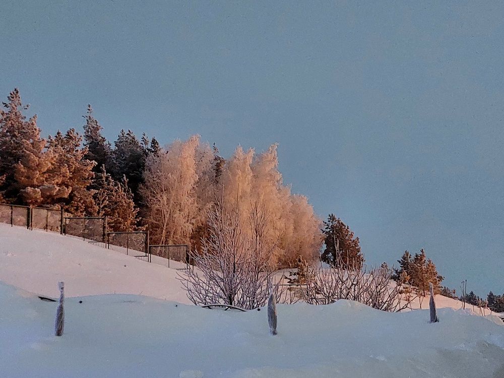 Photograph by Анастасия