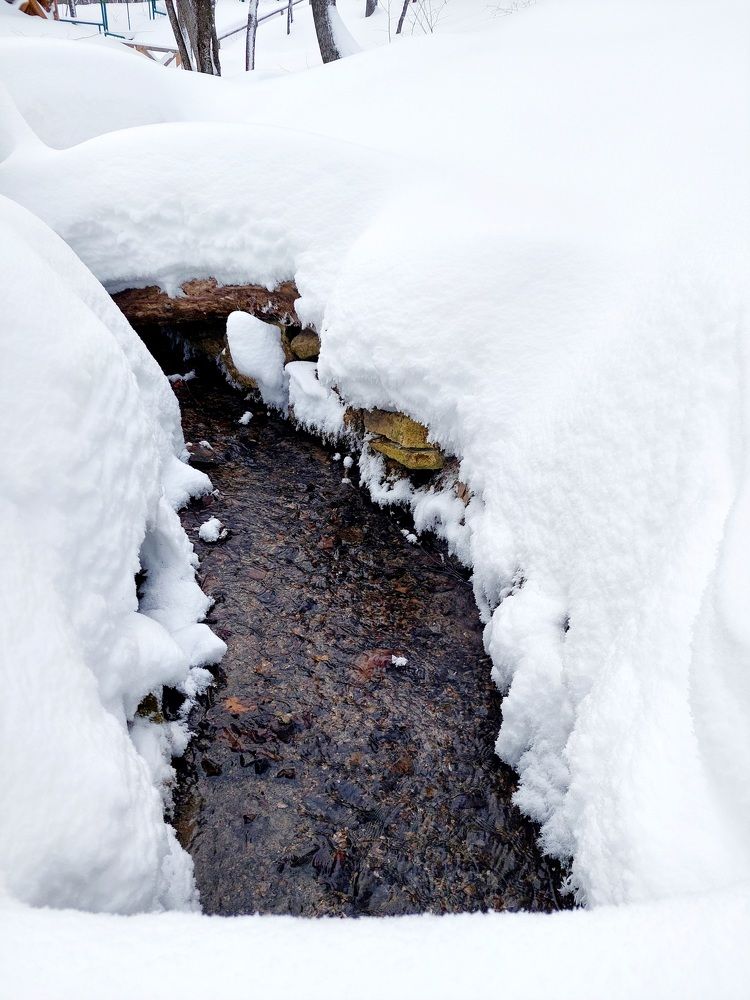 Photograph by Анастасия