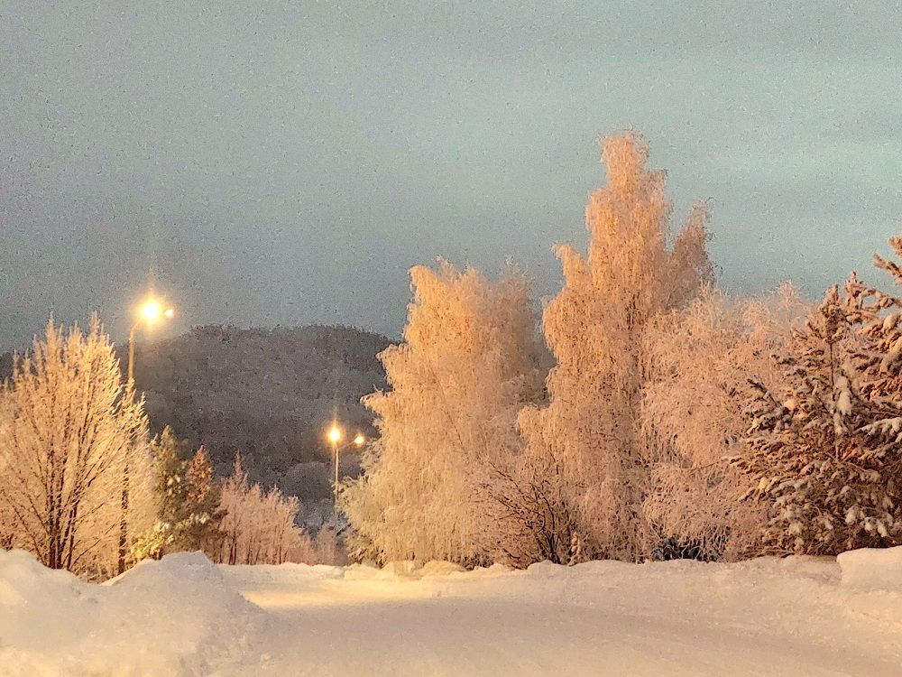 Photograph by Анастасия