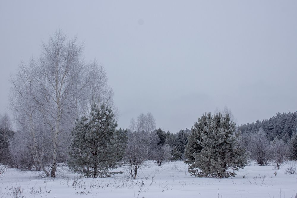Photograph by Татьяна Конаева
