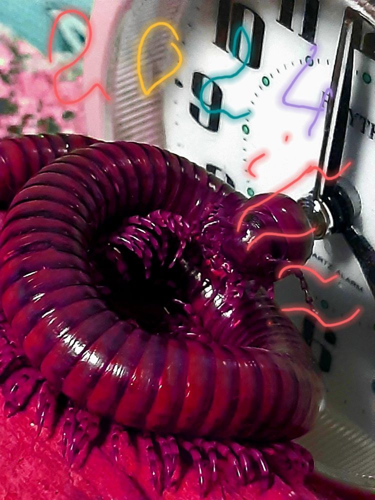 Photograph by Екатерина