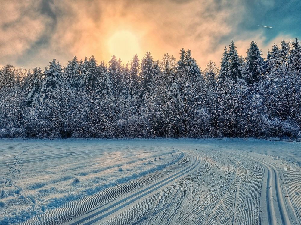 Photograph by Mojca Rebol