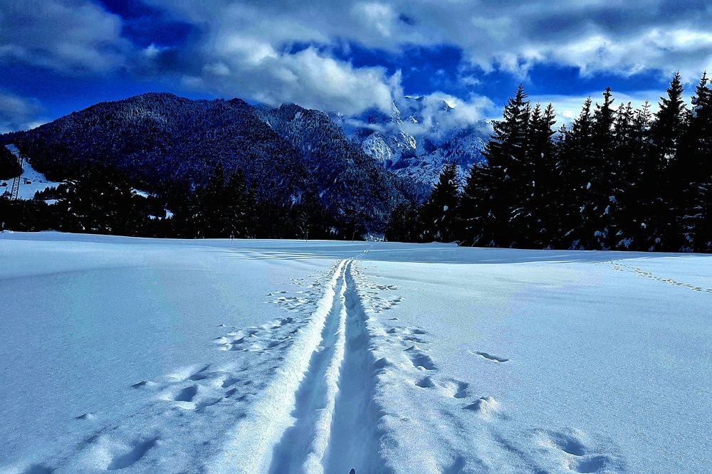 Photograph by Mojca Rebol