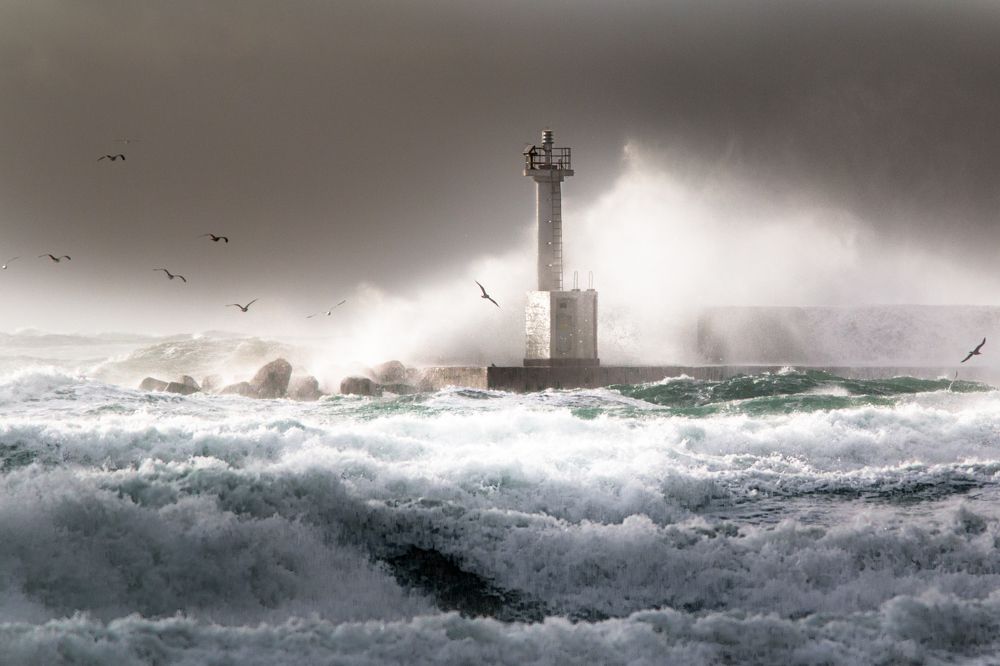 Photograph by Fumi Taki