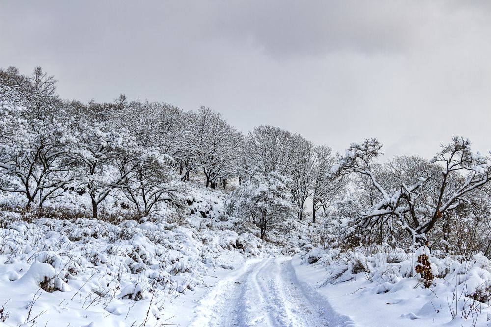 Photograph by Sergey Tsubanov
