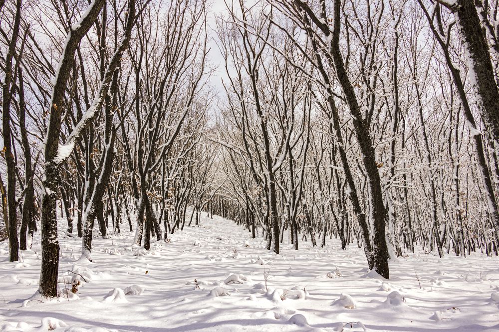 Photograph by Sergey Tsubanov