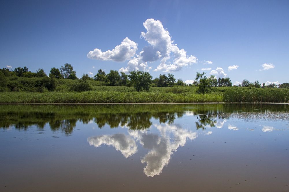 Photograph by Sergey Tsubanov
