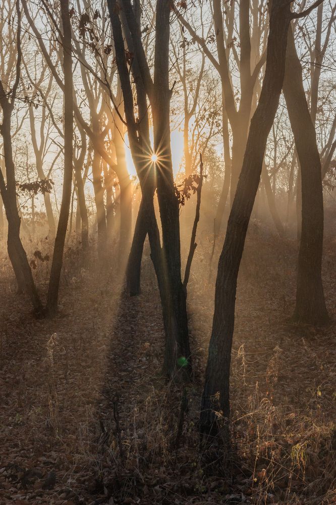 Photograph by Sergey Tsubanov