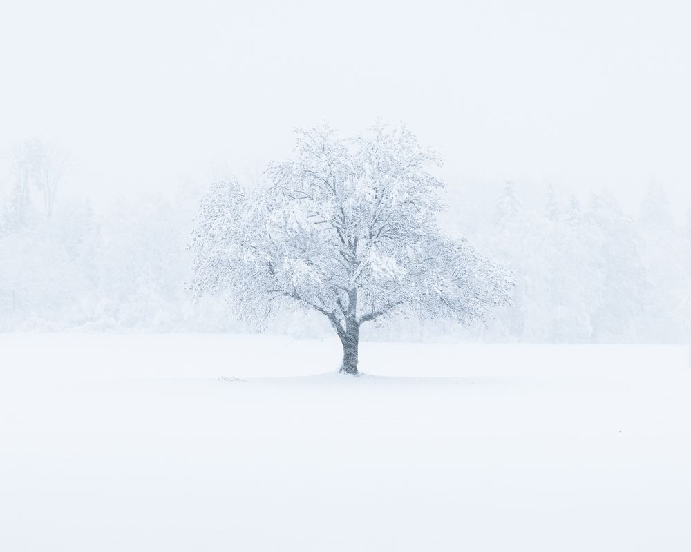 Photograph by Michael Schmidmeister