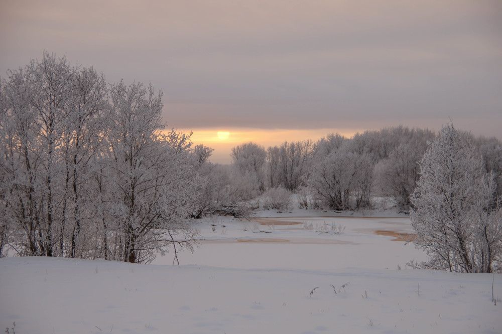 Photograph by Александр Трифанов