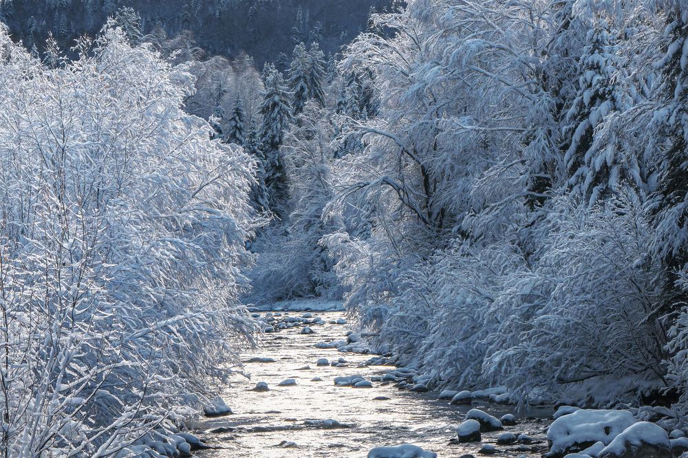 Photograph by Шварцман Евгений