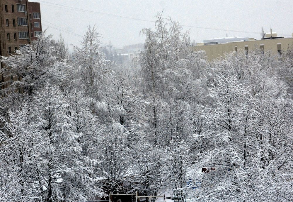 Фотография автора Юрий Рудый