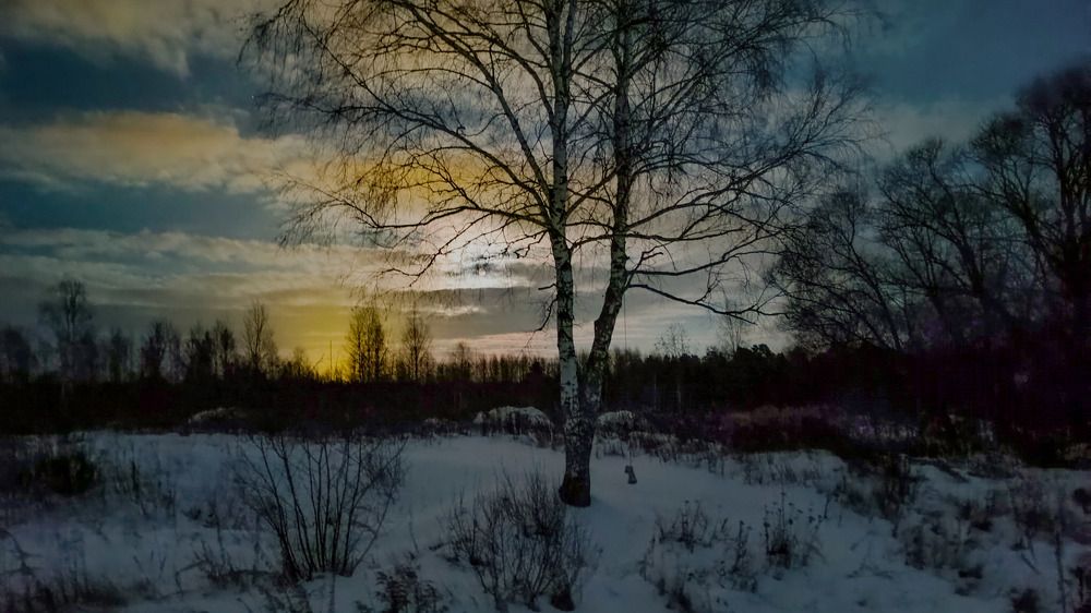Photo #10018059