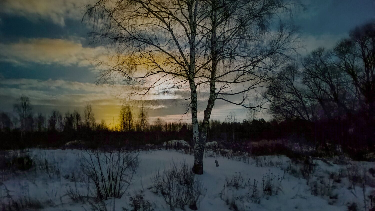 Photo #10018059