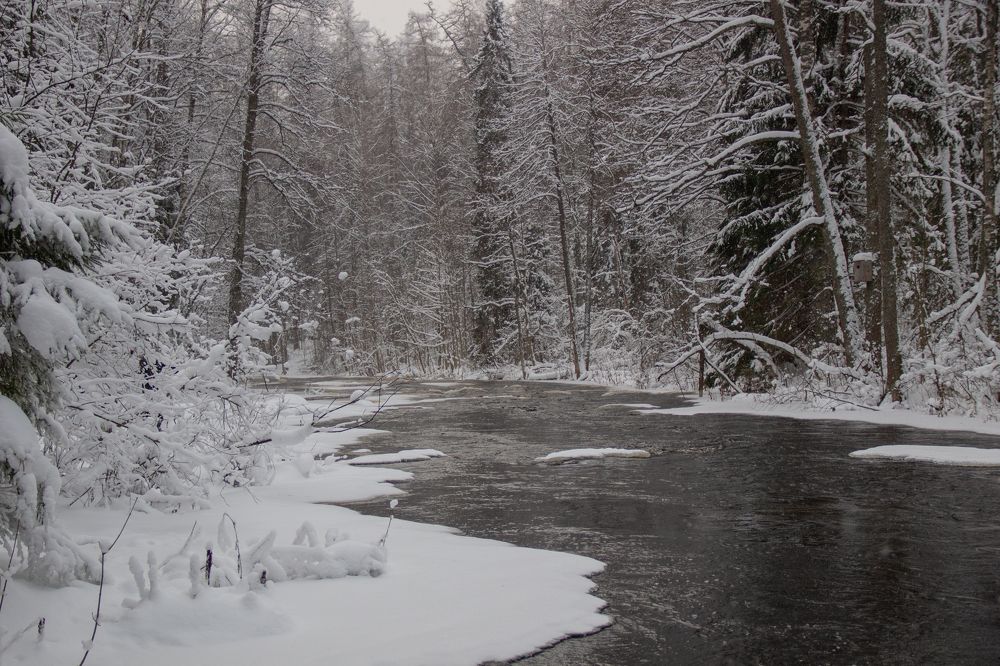 Photograph by Владислав Петрусев