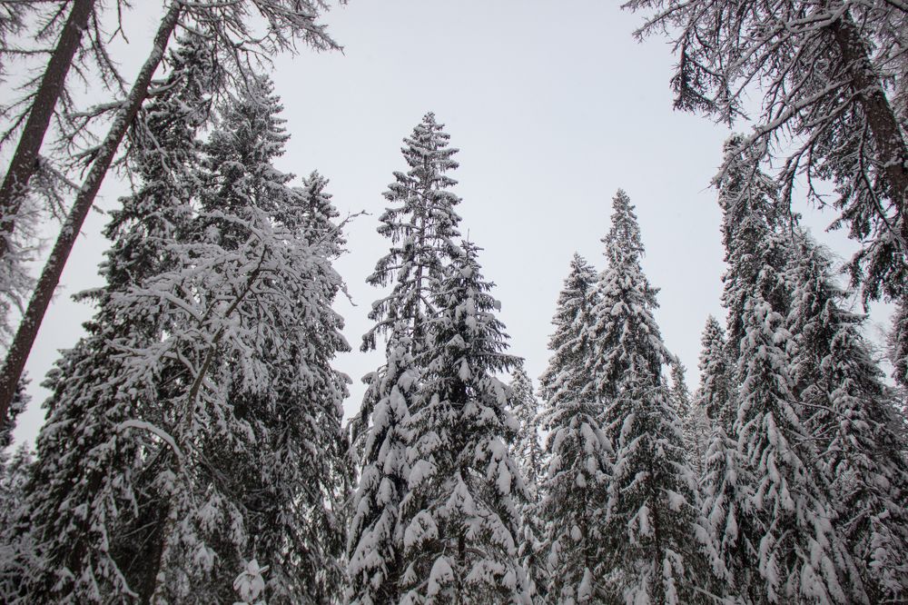Photograph by Владислав Петрусев