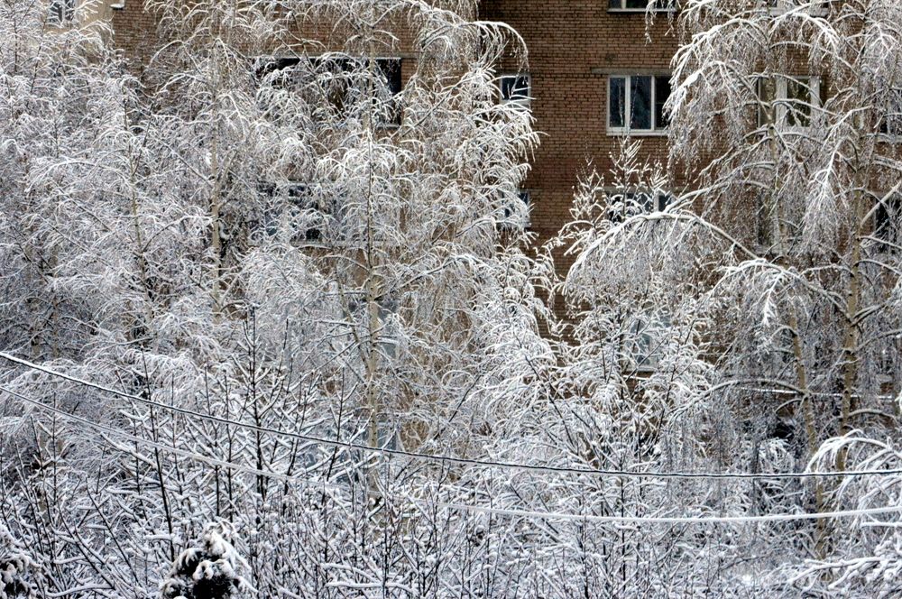 Фотография автора Юрий Рудый