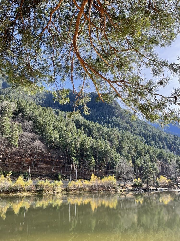 Photograph by Юлия