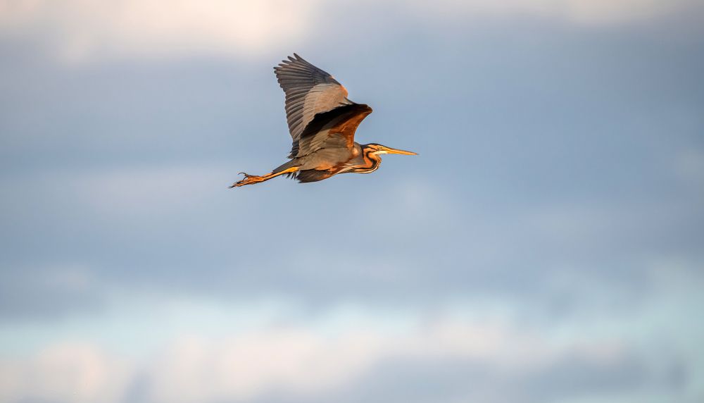 Провожая закат