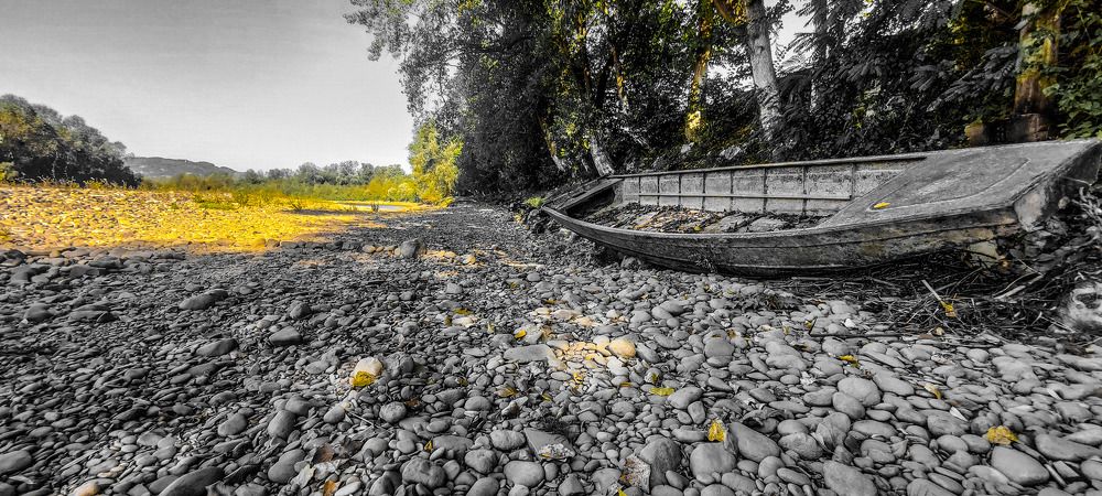 Photograph by Maja Micovic