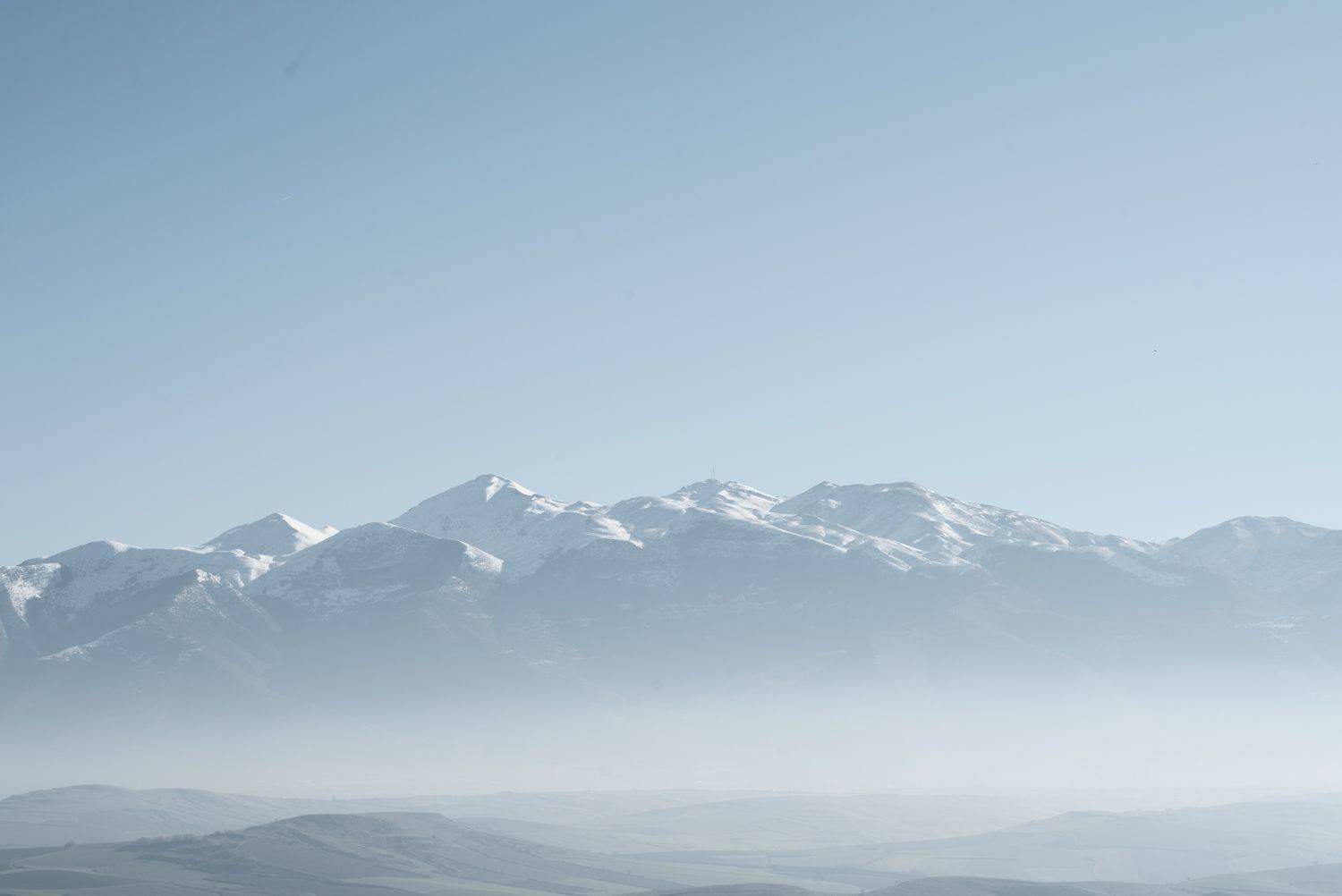 Photo #10018176