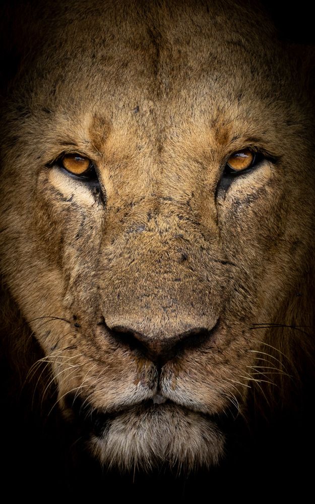 Photograph by Rémi Vacher