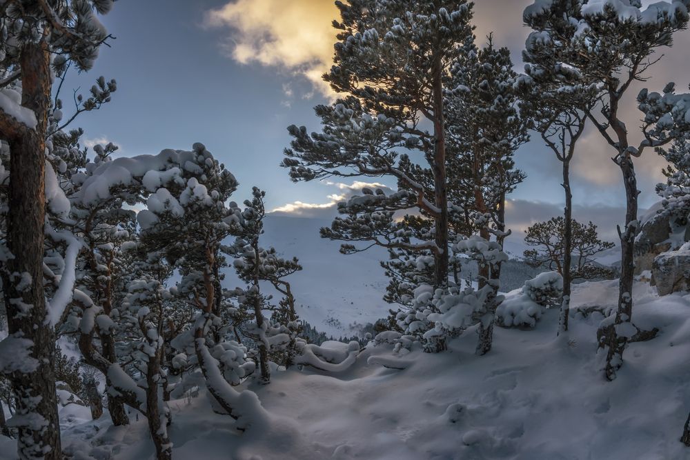 Photograph by Anatoly