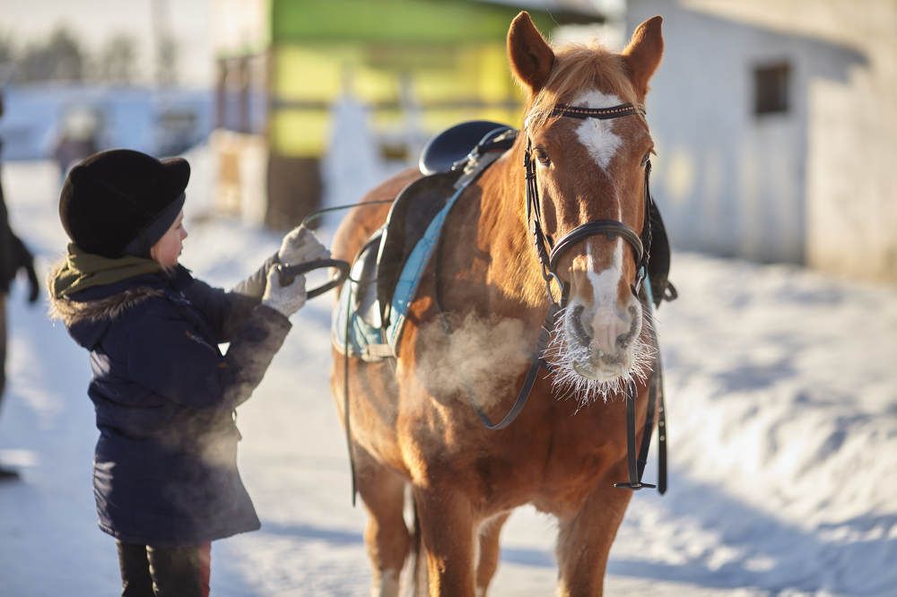 Photograph by Лариса Цепелева