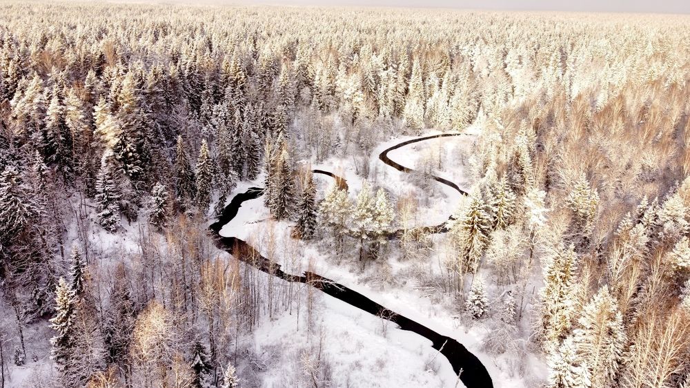 Photograph by Valeria D