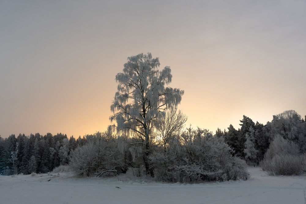 Фотография автора Ruslan Badykov