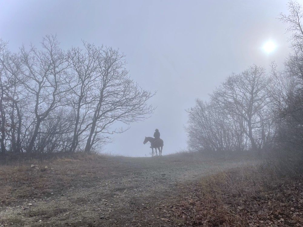 Photograph by Анастасия Соболевская