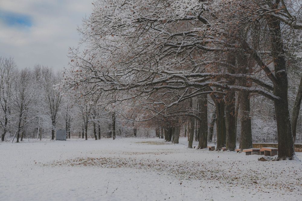 Photograph by Сергей Зимин