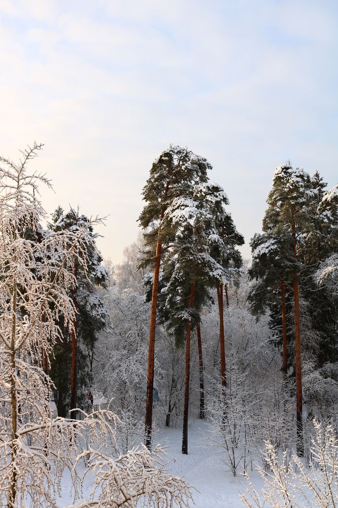 Photograph by Светлана Шуткова