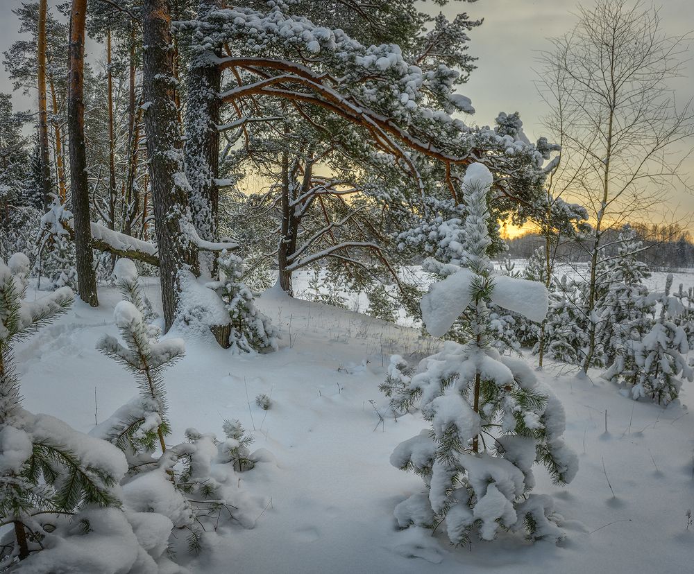 Photograph by Андреев Николай