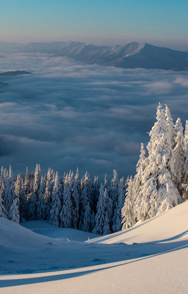 Photograph by Razvan Lazarescu