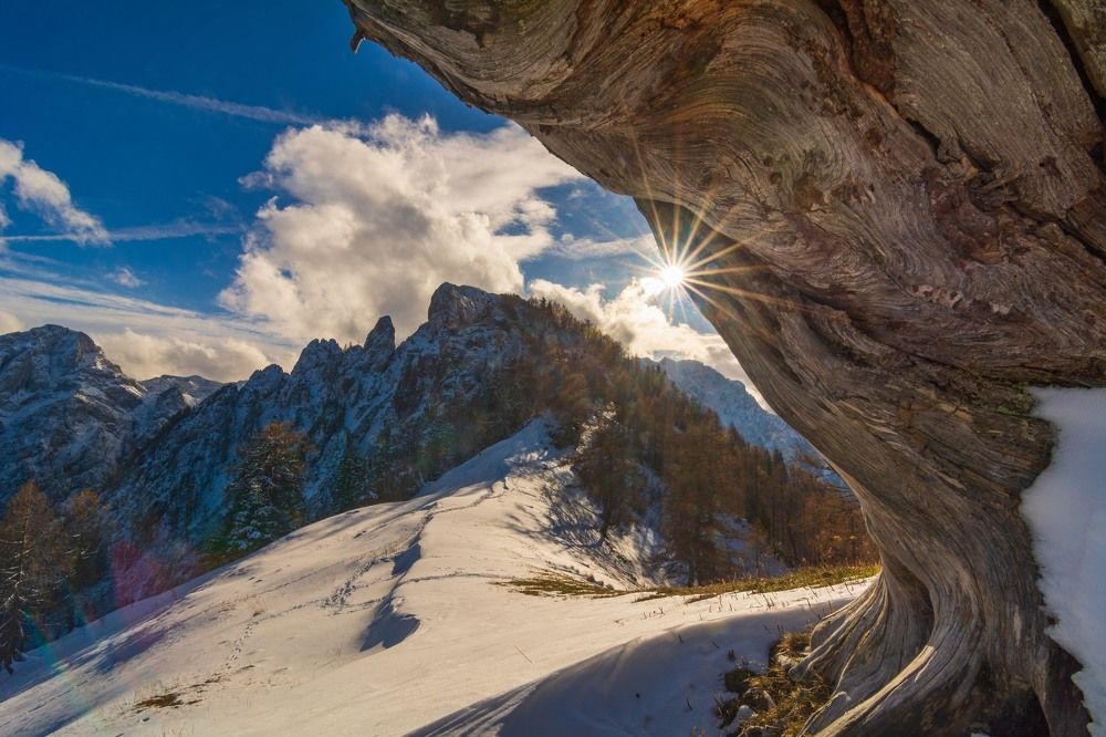 Photograph by Matija Šimunić