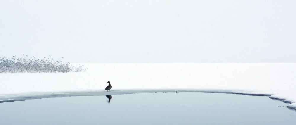 Photograph by Вадим Шейдин