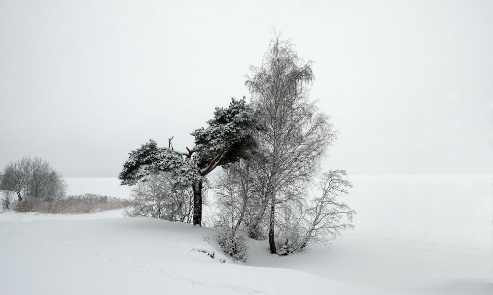Photograph by Вадим Шейдин