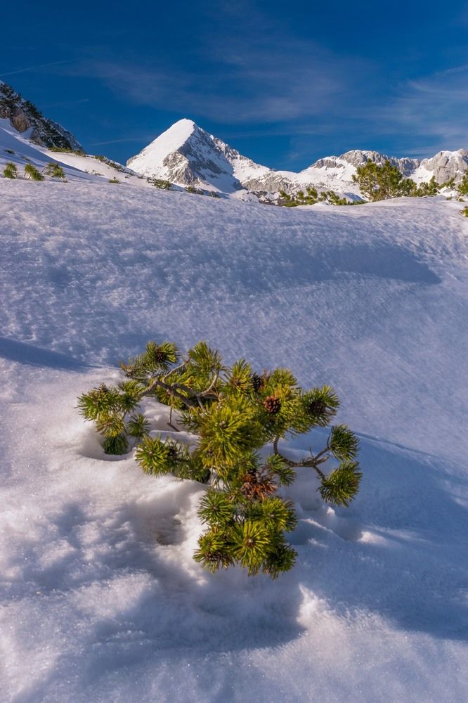 Photograph by Matija Šimunić