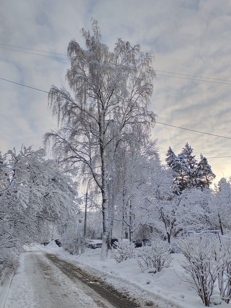 Photograph by Светлана Шуткова