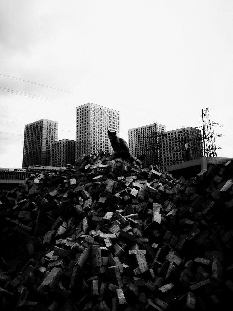 Фотография автора Андрей Жуков