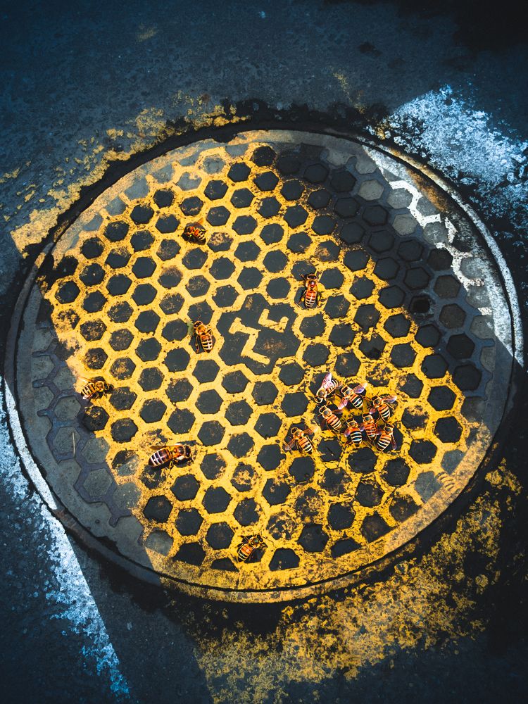 Фотография автора Андрей Жуков