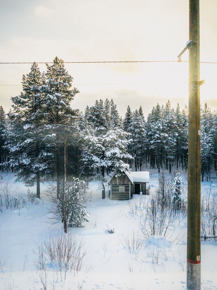 Фотография автора Андрей Жуков