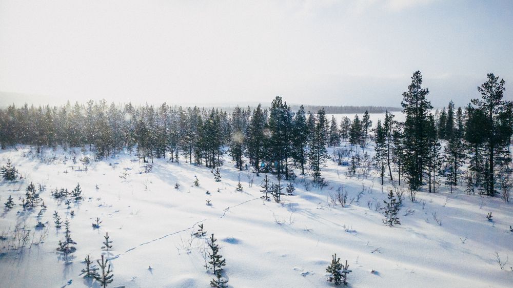 Фотография автора Андрей Жуков